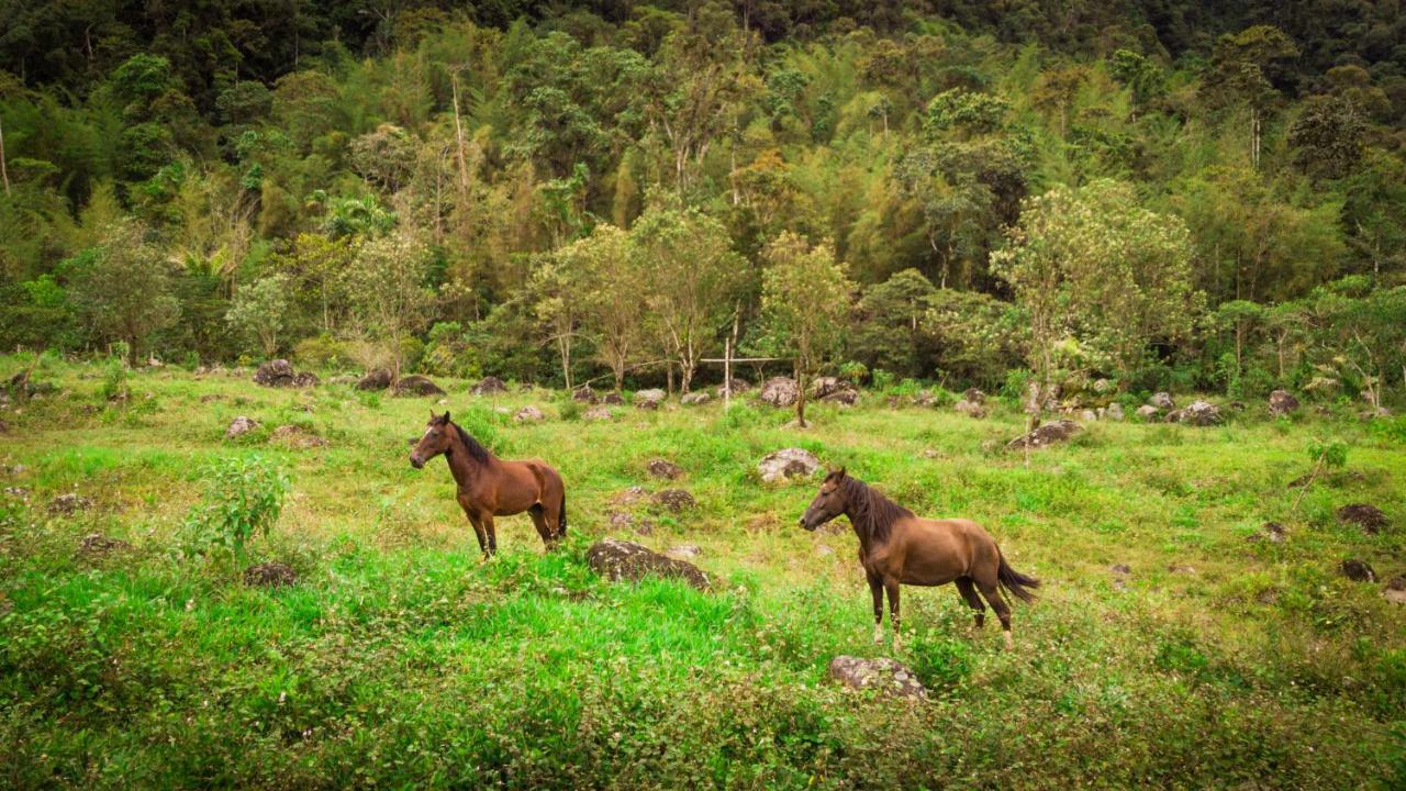 Sacha Urco Lodge Y Bosque Protector Mindo Exterior foto